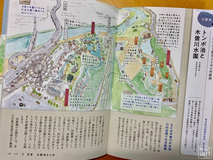 f:id:cippillo:20210403220617j:plain