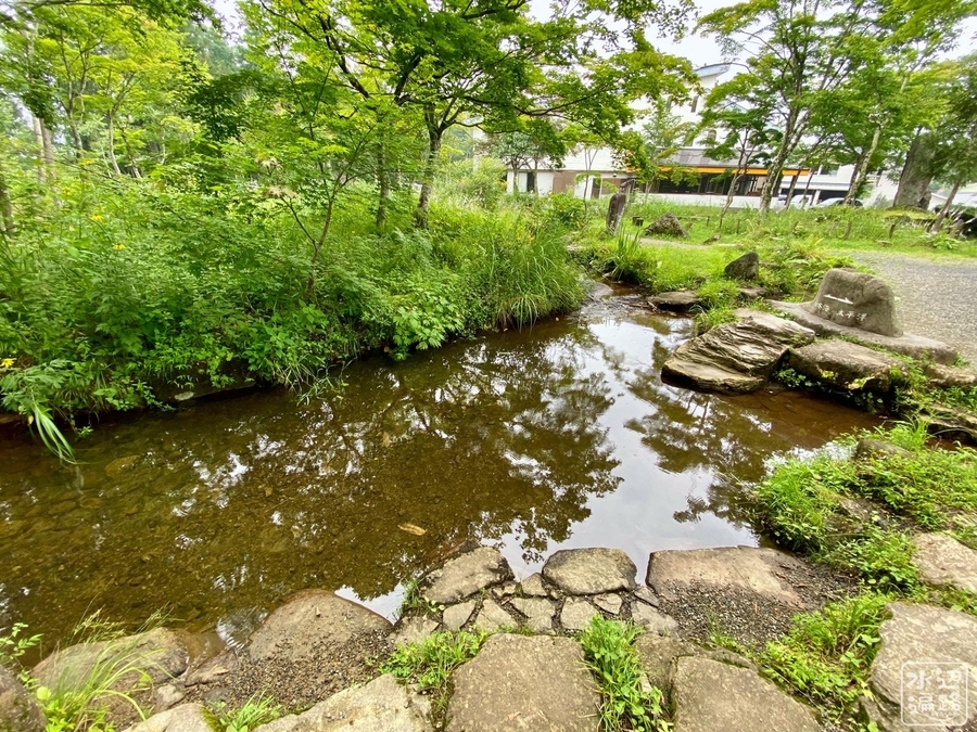 f:id:cippillo:20210405065037j:plain