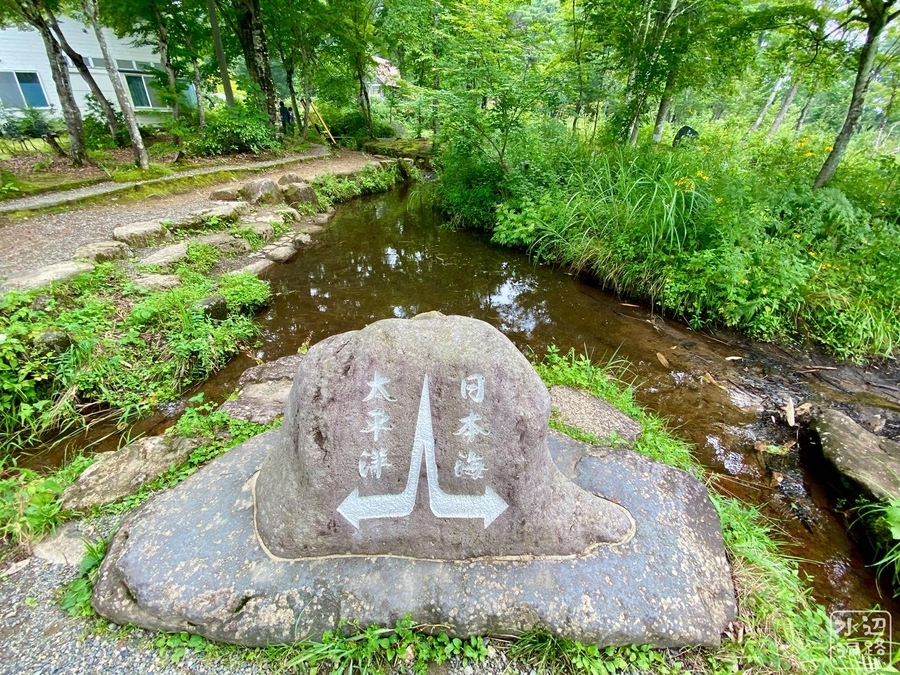 f:id:cippillo:20210405065043j:plain