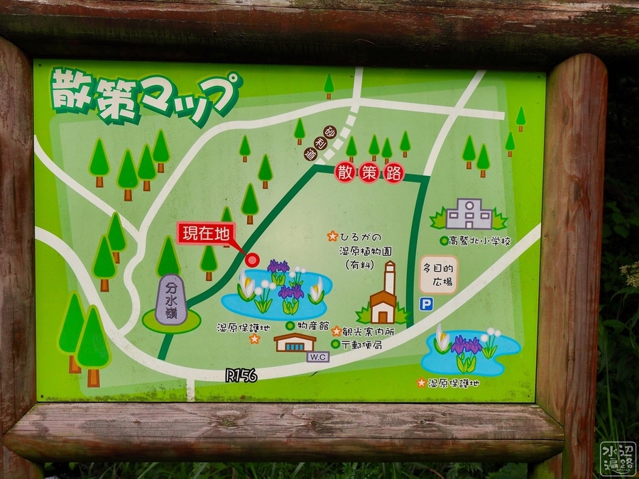 f:id:cippillo:20210405065124j:plain