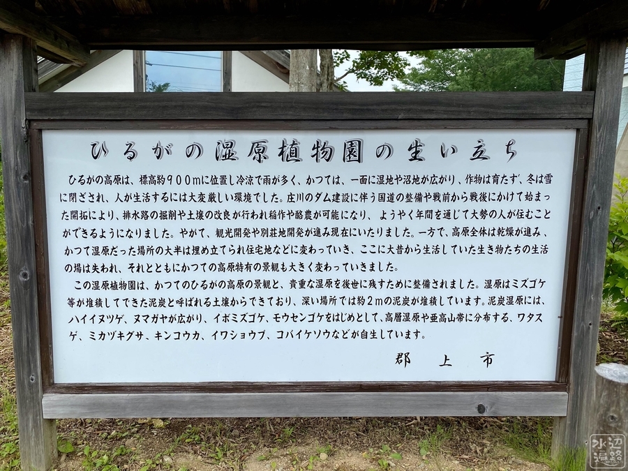 f:id:cippillo:20210405065207j:plain