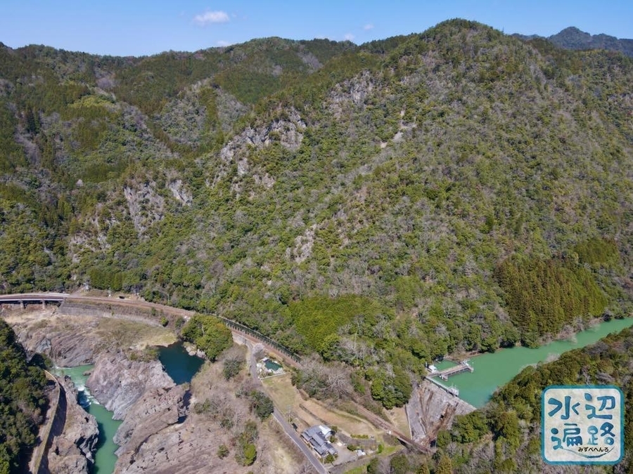 f:id:cippillo:20210405134012j:plain