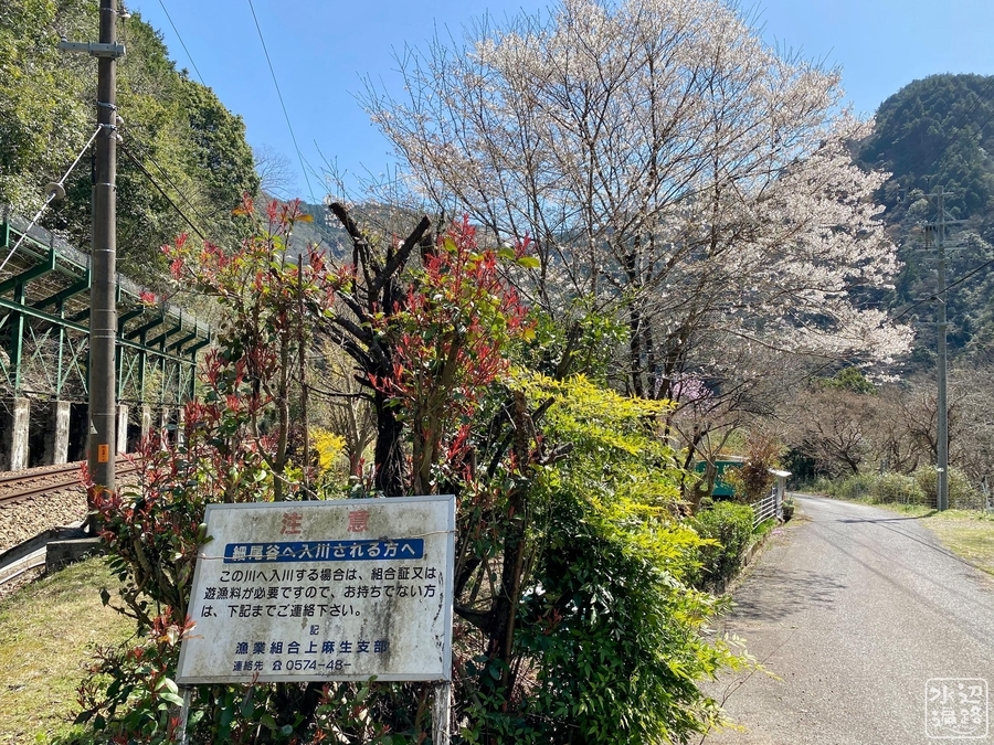 f:id:cippillo:20210405135548j:plain