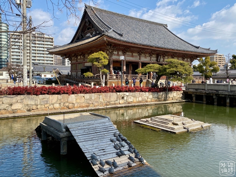 f:id:cippillo:20210409201204j:plain