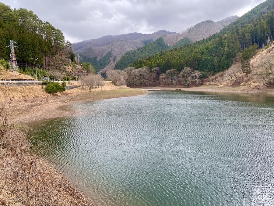 f:id:cippillo:20210412103426j:plain