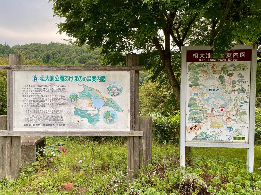 f:id:cippillo:20210412112504j:plain