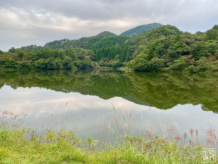 f:id:cippillo:20210412112522j:plain