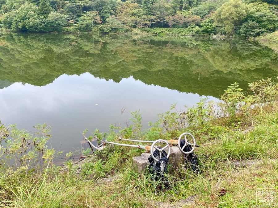 f:id:cippillo:20210412112535j:plain