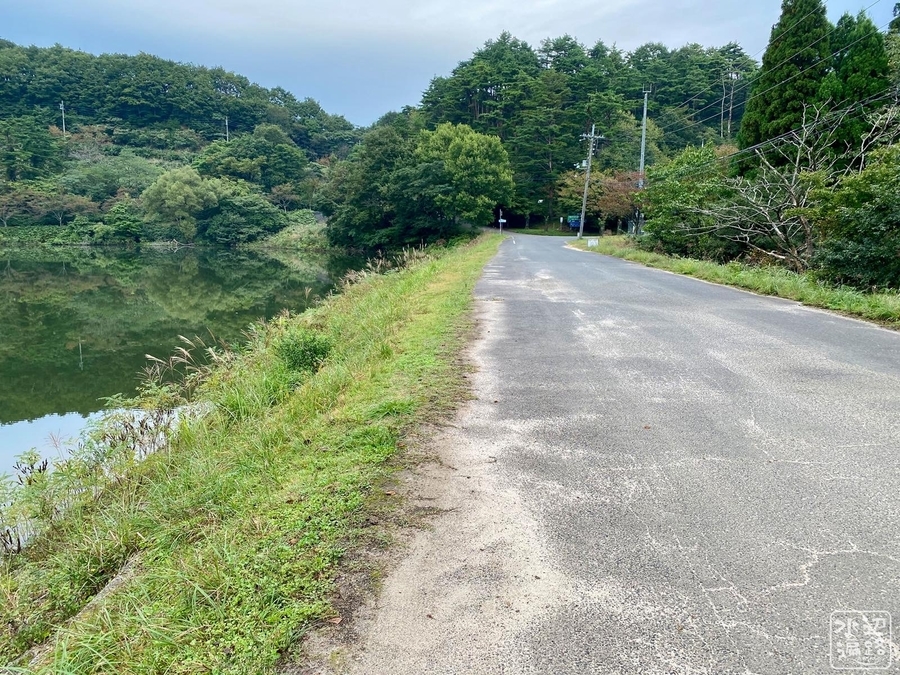 f:id:cippillo:20210412112548j:plain