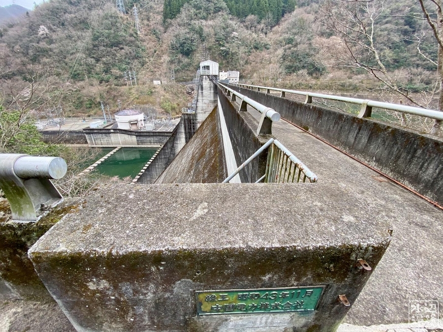 f:id:cippillo:20210413142925j:plain