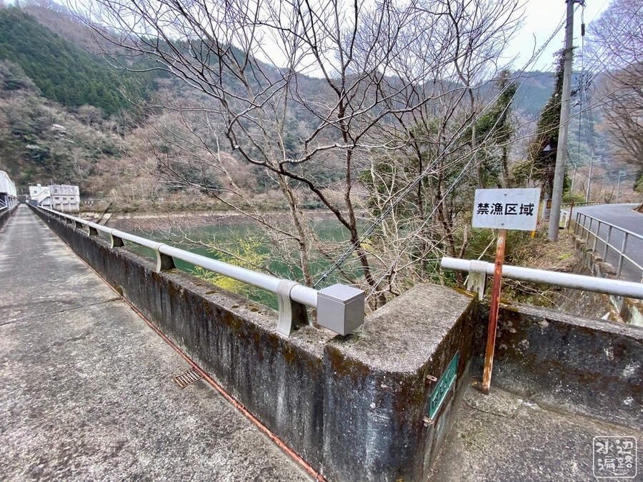 f:id:cippillo:20210413142932j:plain