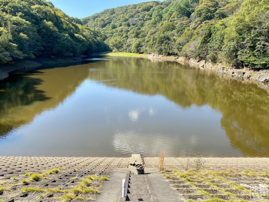 f:id:cippillo:20210414081931j:plain