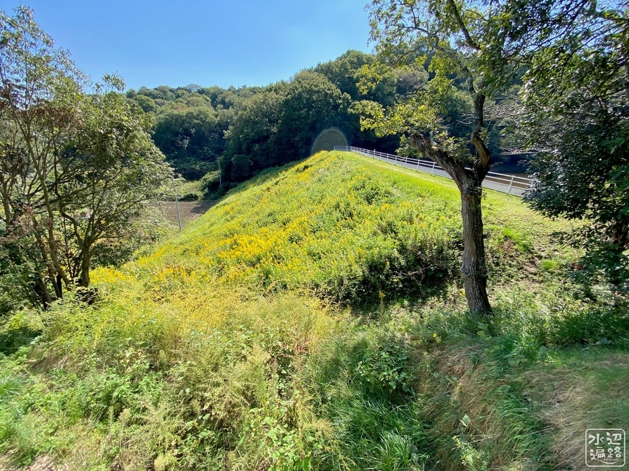 f:id:cippillo:20210414082011j:plain