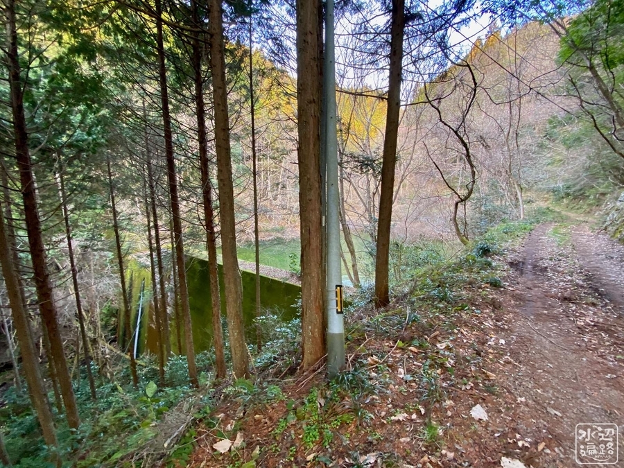 f:id:cippillo:20210414161820j:plain