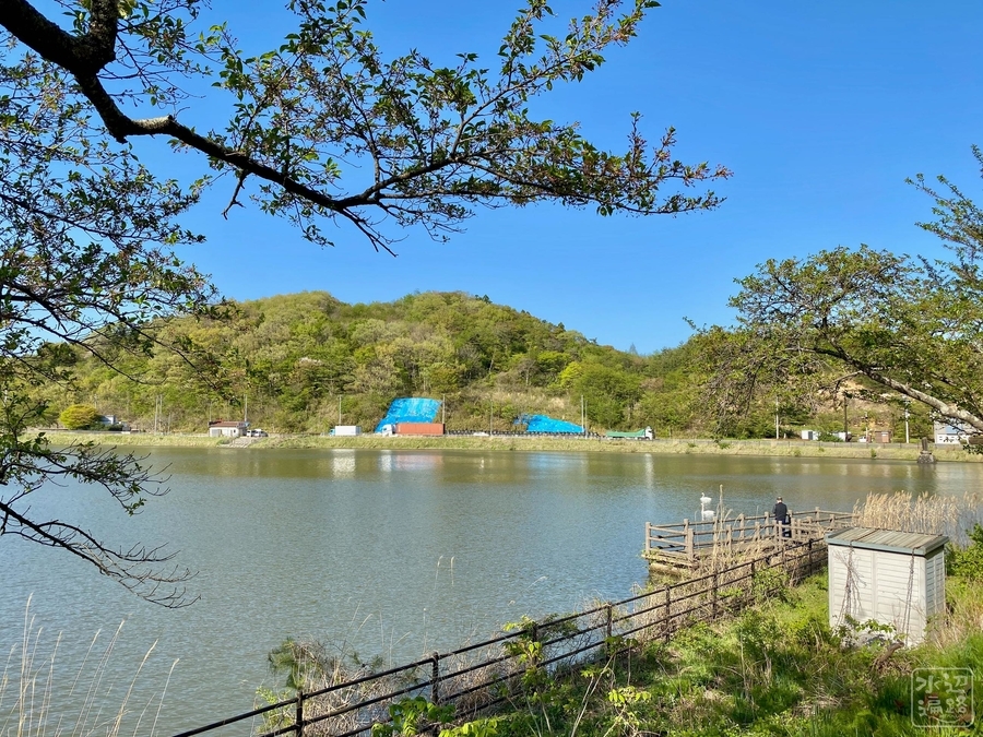 f:id:cippillo:20210425233223j:plain