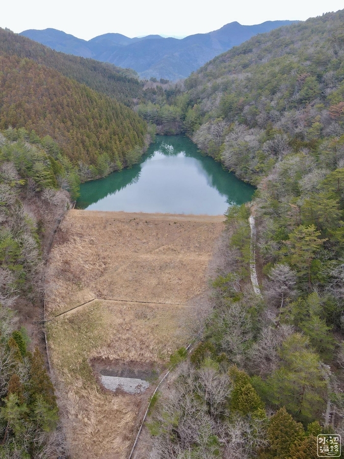 f:id:cippillo:20210501064842j:plain