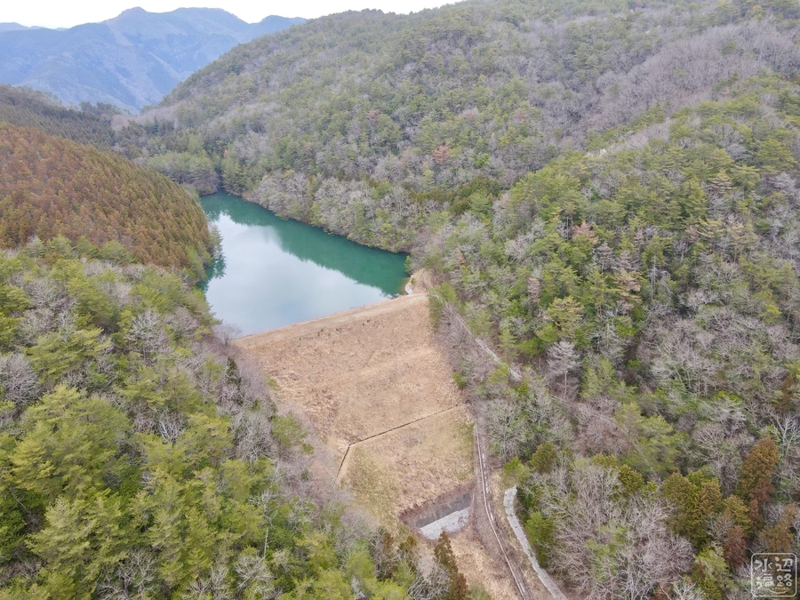 f:id:cippillo:20210501064950j:plain