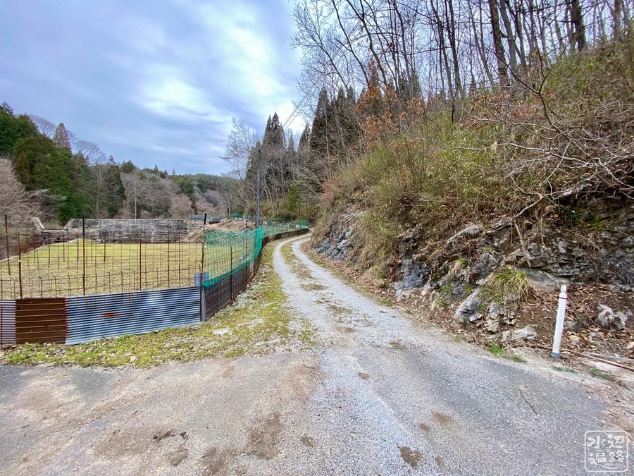 f:id:cippillo:20210501071453j:plain