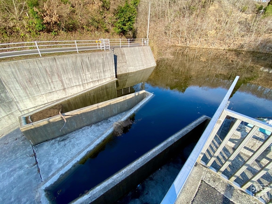 f:id:cippillo:20210501114807j:plain