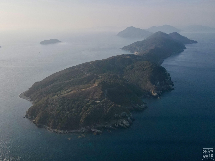 f:id:cippillo:20210509091552j:plain