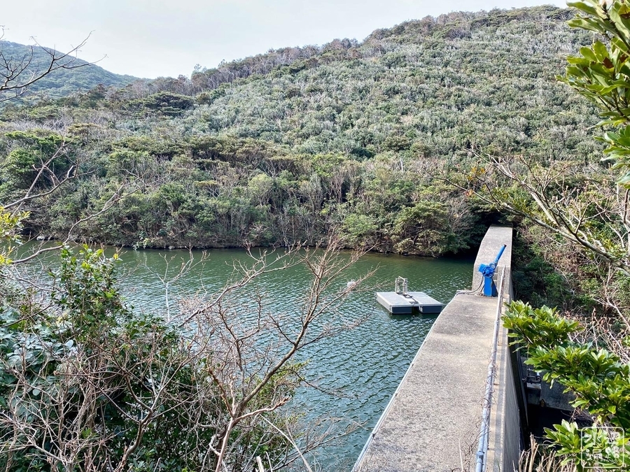 f:id:cippillo:20210509093127j:plain