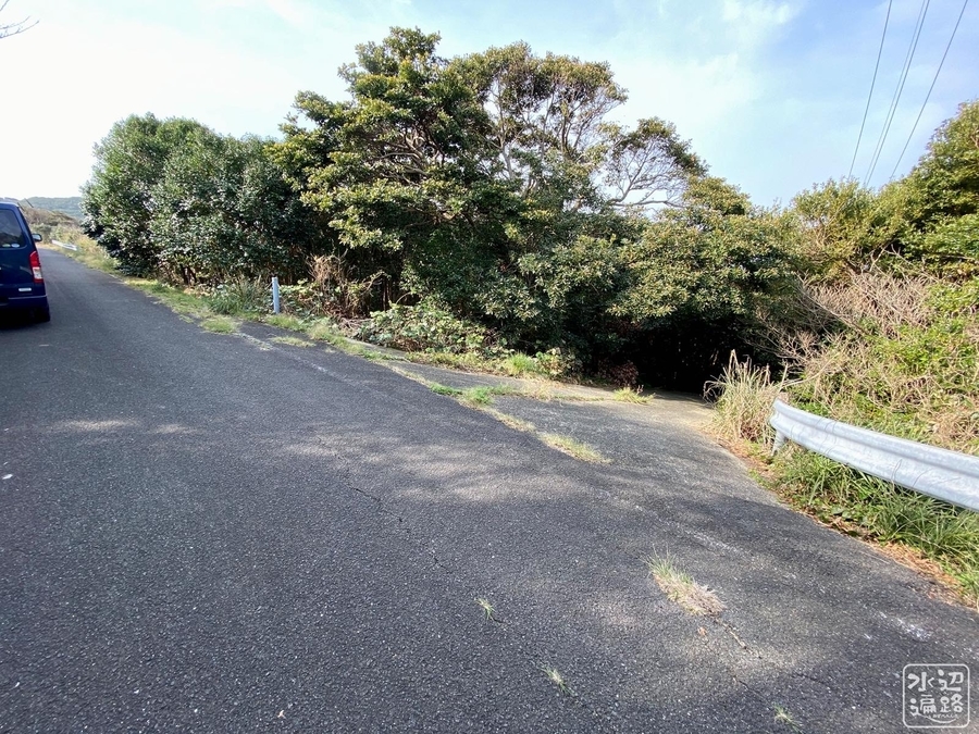 f:id:cippillo:20210509093133j:plain