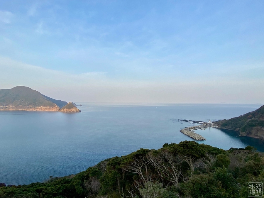 f:id:cippillo:20210509103324j:plain