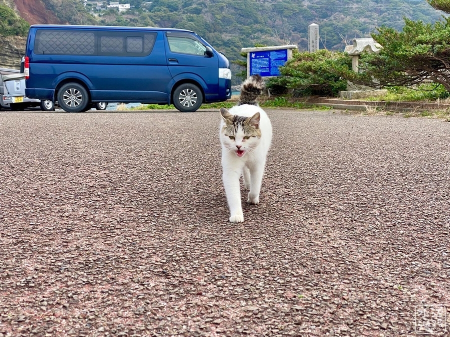 f:id:cippillo:20210509103341j:plain