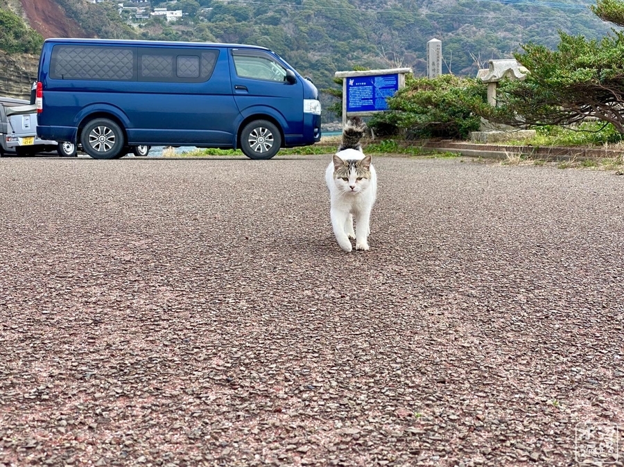 f:id:cippillo:20210509103350j:plain