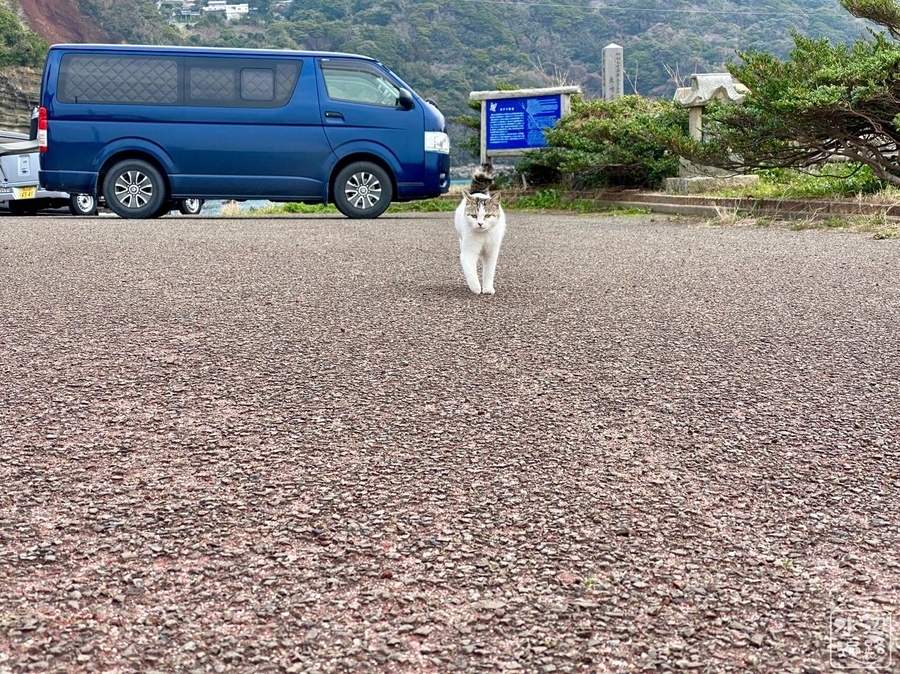 f:id:cippillo:20210509103358j:plain