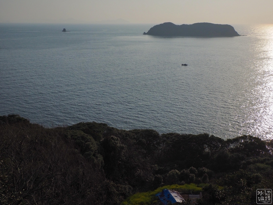 f:id:cippillo:20210509104404j:plain