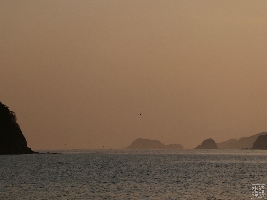 f:id:cippillo:20210509104441j:plain