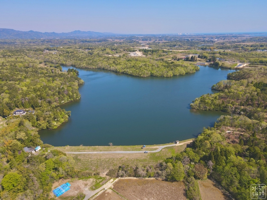 f:id:cippillo:20210510205618j:plain