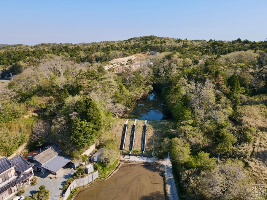 f:id:cippillo:20210511133230j:plain