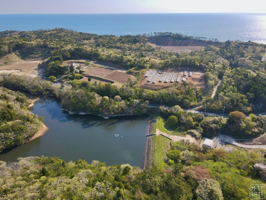 f:id:cippillo:20210511213007j:plain