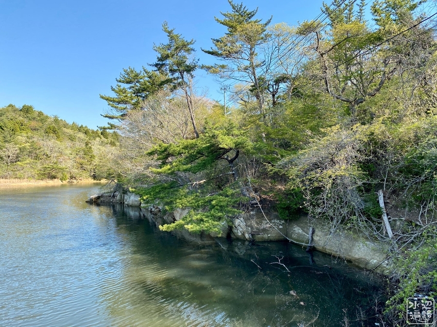 f:id:cippillo:20210511213630j:plain