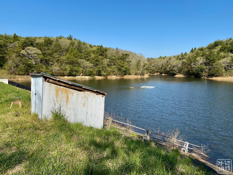 f:id:cippillo:20210511213643j:plain