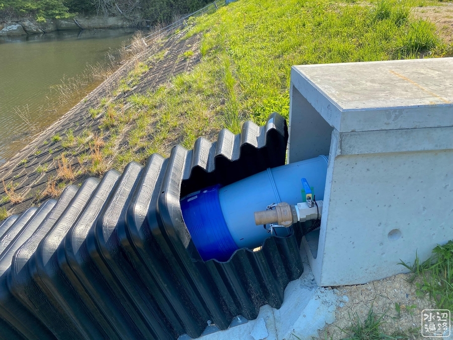 f:id:cippillo:20210511213741j:plain