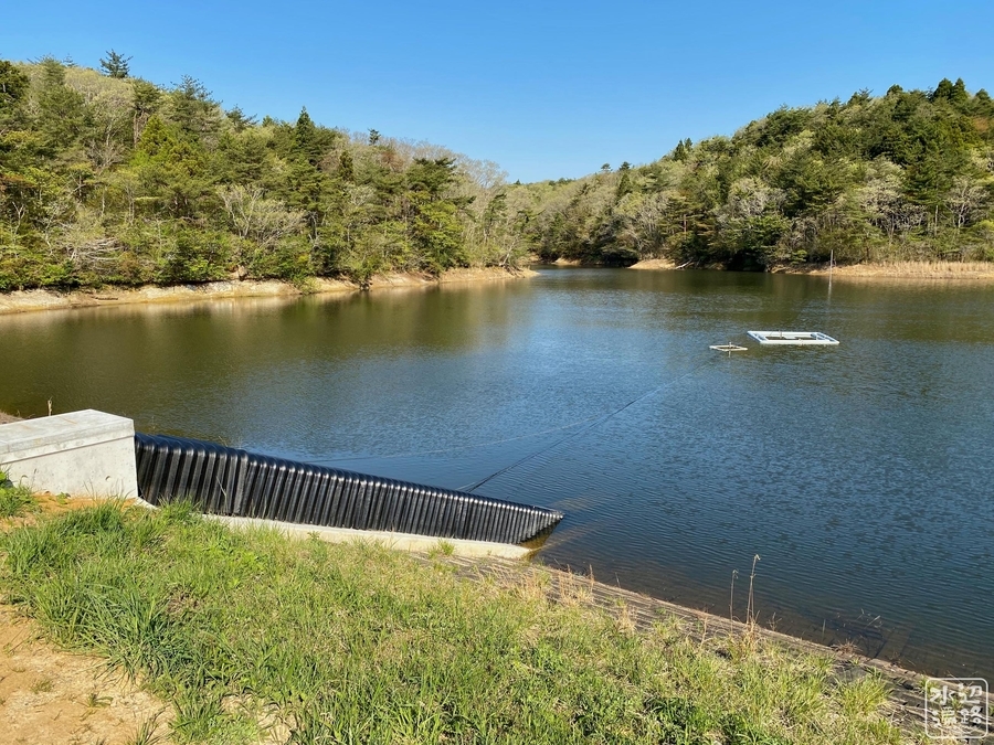 f:id:cippillo:20210511213809j:plain