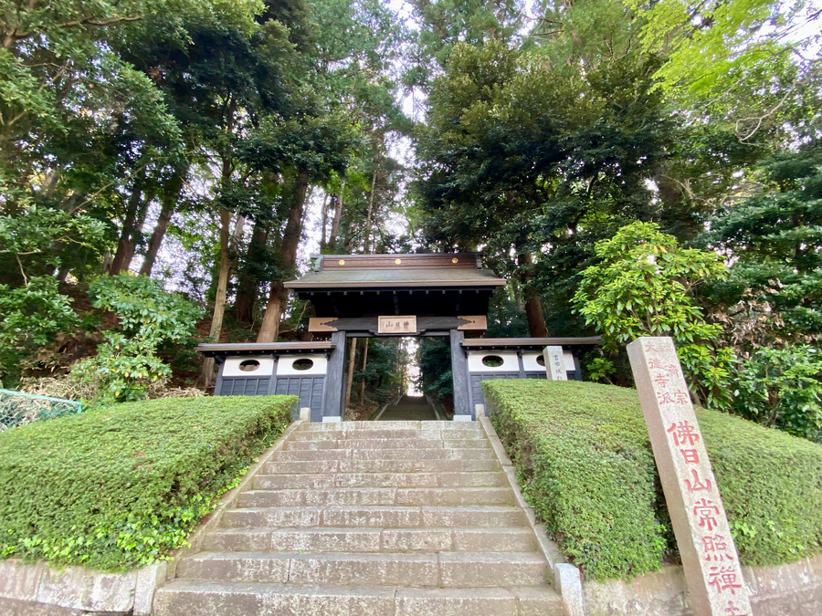 f:id:cippillo:20210515092925j:plain