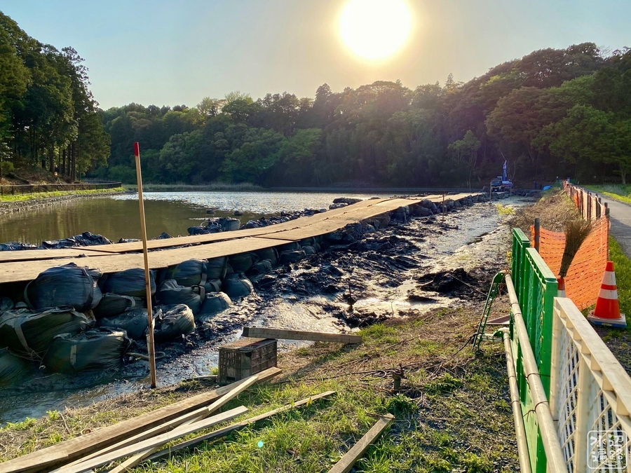 f:id:cippillo:20210515103757j:plain