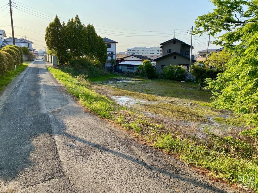 f:id:cippillo:20210515105141j:plain