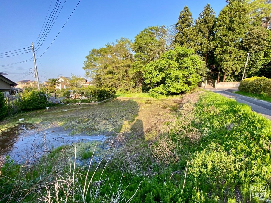 f:id:cippillo:20210515105200j:plain