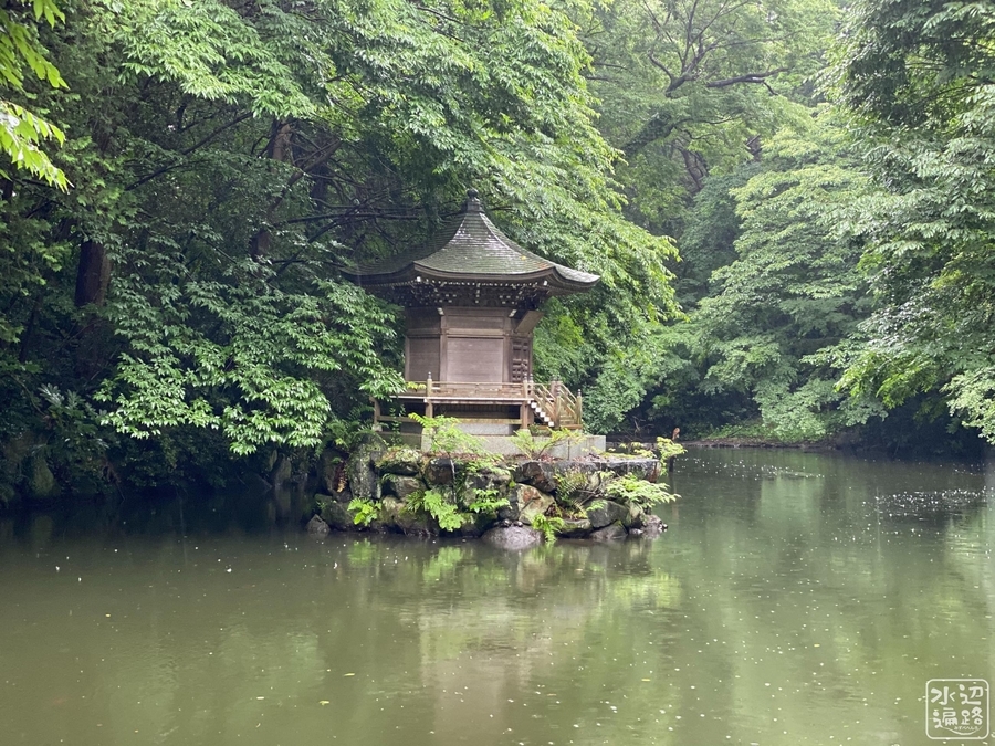 御瀧不動 弁天池（千葉県船橋） - 水辺遍路