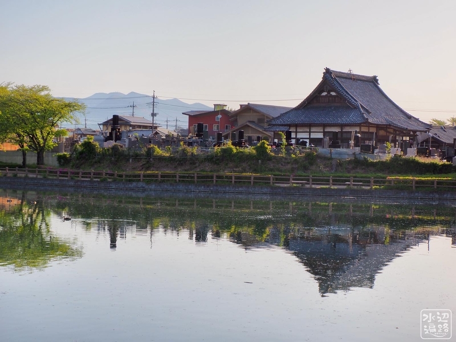 f:id:cippillo:20210519080113j:plain