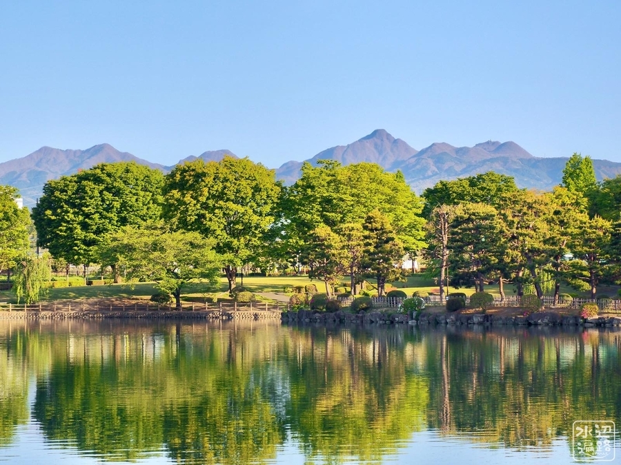 f:id:cippillo:20210519080127j:plain