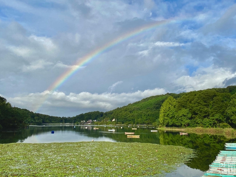 f:id:cippillo:20210520154820j:plain