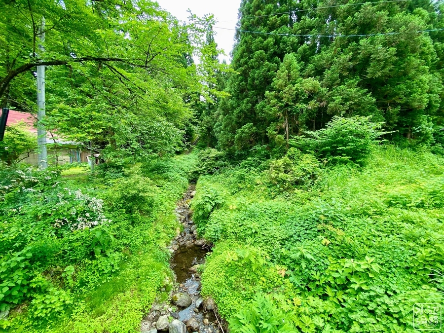 f:id:cippillo:20210520213559j:plain