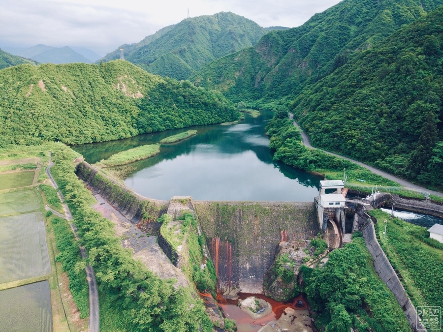 f:id:cippillo:20210521094026j:plain