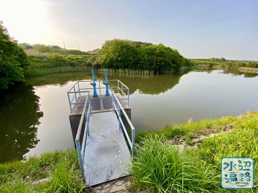 f:id:cippillo:20210525093200j:plain